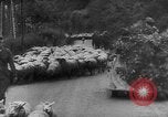 Standbild deutschen Rüstung getarnt mit Laub Frankreich, 1944, aus Sekunde 23 historischem Filmmaterial Videoclip 65675056340