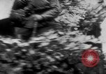 Standbild deutschen Rüstung getarnt mit Laub Frankreich, 1944, aus Sekunde 26 historischem Filmmaterial Videoclip 65675056340