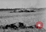 Standbild zerstörten Alliierte Flugzeuge Frankreich, 1944, aus Sekunde 11 historischem Filmmaterial Videoclip 65675056342