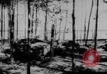 Standbild zerstörten Alliierte Flugzeuge Frankreich, 1944, aus Sekunde 26 historischem Filmmaterial Videoclip 65675056342