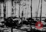 Standbild zerstörten Alliierte Flugzeuge Frankreich, 1944, aus Sekunde 27 historischem Filmmaterial Videoclip 65675056342