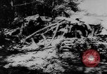 Standbild zerstörten Alliierte Flugzeuge Frankreich, 1944, aus Sekunde 29 historischem Filmmaterial Videoclip 65675056342