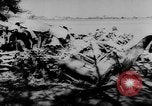 Standbild zerstörten Alliierte Flugzeuge Frankreich, 1944, aus Sekunde 33 historischem Filmmaterial Videoclip 65675056342