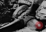 Standbild zerstörten Alliierte Flugzeuge Frankreich, 1944, aus Sekunde 34 historischem Filmmaterial Videoclip 65675056342