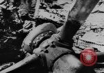 Standbild zerstörten Alliierte Flugzeuge Frankreich, 1944, aus Sekunde 35 historischem Filmmaterial Videoclip 65675056342
