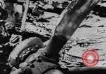 Standbild zerstörten Alliierte Flugzeuge Frankreich, 1944, aus Sekunde 36 historischem Filmmaterial Videoclip 65675056342