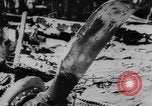 Standbild zerstörten Alliierte Flugzeuge Frankreich, 1944, aus Sekunde 37 historischem Filmmaterial Videoclip 65675056342