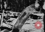Standbild zerstörten Alliierte Flugzeuge Frankreich, 1944, aus Sekunde 38 historischem Filmmaterial Videoclip 65675056342