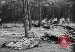 Standbild zerstörten Alliierte Flugzeuge Frankreich, 1944, aus Sekunde 49 historischem Filmmaterial Videoclip 65675056342