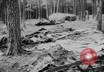 Standbild zerstörten Alliierte Flugzeuge Frankreich, 1944, aus Sekunde 51 historischem Filmmaterial Videoclip 65675056342