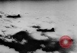 Image of German military invasion Italy, 1944, second 6 stock footage video 65675056344