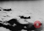 Image of German military invasion Italy, 1944, second 7 stock footage video 65675056344