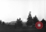 Image of German forces defend against Soviet offensive Soviet Union, 1944, second 26 stock footage video 65675056349
