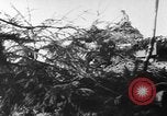 Image of German forces defend against Soviet offensive Soviet Union, 1944, second 47 stock footage video 65675056349