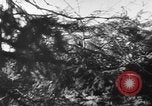 Image of German forces defend against Soviet offensive Soviet Union, 1944, second 48 stock footage video 65675056349