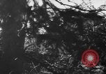 Image of German forces defend against Soviet offensive Soviet Union, 1944, second 49 stock footage video 65675056349