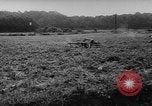 Immagine di Le forze tedesche difendere contro Allied avanza Francia, 1944, secondo 62 filmato di repertorio 65675056350