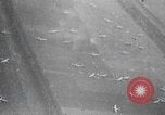 Image of Allies invade Holland Netherlands, 1944, second 46 stock footage video 65675056353