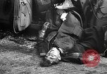 Image of Allies invade Holland Netherlands, 1944, second 61 stock footage video 65675056353