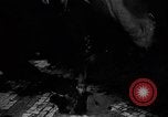 Image of Allies liberate Luxembourg during World War 2 Luxembourg, 1944, second 37 stock footage video 65675056354