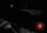 Image of Allies liberate Luxembourg during World War 2 Luxembourg, 1944, second 38 stock footage video 65675056354