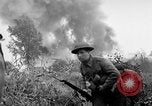 Immagine di Gli Alleati invadono Holland Hertogenbosch Paesi Bassi, 1944, secondo 11 filmato di repertorio 65675056355
