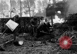 Immagine di Gli Alleati invadono Holland Hertogenbosch Paesi Bassi, 1944, secondo 20 filmato di repertorio 65675056355