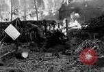 Immagine di Gli Alleati invadono Holland Hertogenbosch Paesi Bassi, 1944, secondo 21 filmato di repertorio 65675056355