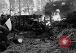 Immagine di Gli Alleati invadono Holland Hertogenbosch Paesi Bassi, 1944, secondo 22 filmato di repertorio 65675056355