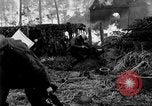 Immagine di Gli Alleati invadono Holland Hertogenbosch Paesi Bassi, 1944, secondo 23 filmato di repertorio 65675056355