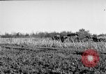 Immagine di Gli Alleati invadono Holland Hertogenbosch Paesi Bassi, 1944, secondo 51 filmato di repertorio 65675056355
