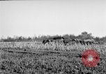 Immagine di Gli Alleati invadono Holland Hertogenbosch Paesi Bassi, 1944, secondo 53 filmato di repertorio 65675056355