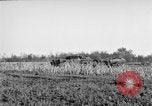 Immagine di Gli Alleati invadono Holland Hertogenbosch Paesi Bassi, 1944, secondo 54 filmato di repertorio 65675056355
