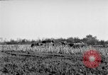 Immagine di Gli Alleati invadono Holland Hertogenbosch Paesi Bassi, 1944, secondo 55 filmato di repertorio 65675056355