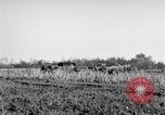 Immagine di Gli Alleati invadono Holland Hertogenbosch Paesi Bassi, 1944, secondo 56 filmato di repertorio 65675056355