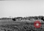 Immagine di Gli Alleati invadono Holland Hertogenbosch Paesi Bassi, 1944, secondo 57 filmato di repertorio 65675056355