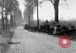 Standbild Verbündeten dringen in Holland Hertogenbosch Niederlande, 1944, aus Sekunde 16 historischem Filmmaterial Videoclip 65675056357