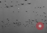 Immagine di Assalto alleato in Olanda durante la seconda guerra mondiale Regno Unito, 1944, secondo 24 filmato di repertorio 65675056359