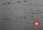 Immagine di Assalto alleato in Olanda durante la seconda guerra mondiale Regno Unito, 1944, secondo 25 filmato di repertorio 65675056359