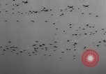 Immagine di Assalto alleato in Olanda durante la seconda guerra mondiale Regno Unito, 1944, secondo 27 filmato di repertorio 65675056359