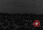 Immagine di Assalto alleato in Olanda durante la seconda guerra mondiale Regno Unito, 1944, secondo 42 filmato di repertorio 65675056359