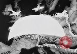 Image of Allied air raid on Nazi targets France, 1944, second 17 stock footage video 65675056365