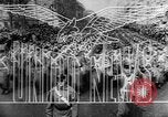 Image of Allies liberate Holland Holland Netherlands, 1944, second 9 stock footage video 65675056370