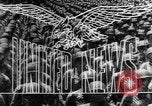 Image of Allies liberate Holland Holland Netherlands, 1944, second 13 stock footage video 65675056370