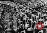 Image of Allies liberate Holland Holland Netherlands, 1944, second 14 stock footage video 65675056370