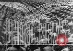 Image of Allies liberate Holland Holland Netherlands, 1944, second 15 stock footage video 65675056370