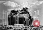 Image of Allies liberate Holland Holland Netherlands, 1944, second 18 stock footage video 65675056370