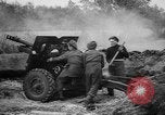 Image of Allies liberate Holland Holland Netherlands, 1944, second 54 stock footage video 65675056370