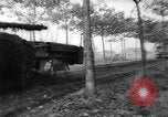 Image of Allies liberate Holland Holland Netherlands, 1944, second 56 stock footage video 65675056370