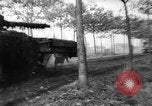 Image of Allies liberate Holland Holland Netherlands, 1944, second 57 stock footage video 65675056370